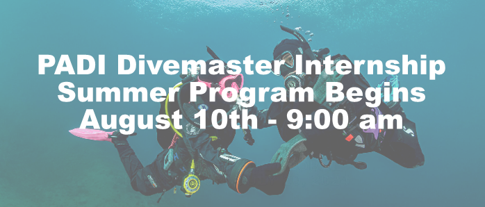 Summer 2024 Divemaster Internship Program