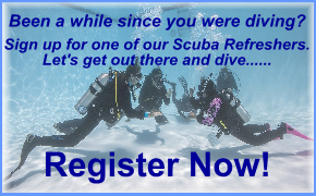 Scuba Refresher Course Dates and Registration