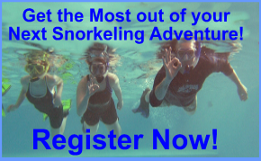 Snorkeling Course Dates and Registration